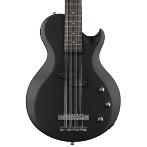 Schecter dUg Pinnick DP-12 12-string Bass Guitar - Satin Black