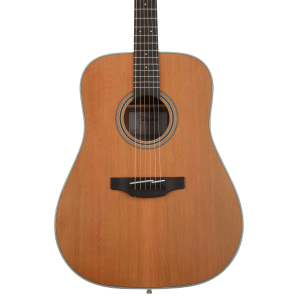 Takamine GD20 Acoustic Guitar - Natural Satin