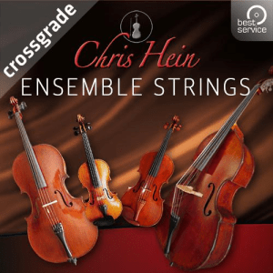 Best Service Chris Hein Ensemble Strings Crossgrade - Previous owner of C.H. Solo String Inst