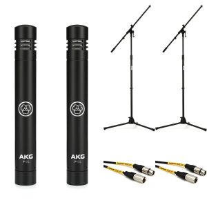 AKG P170 Small-diaphragm Condenser Microphone with Stand and Cable (Pair)