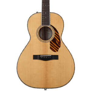Fender PS-220E Parlor Acoustic-electric Guitar - Natural