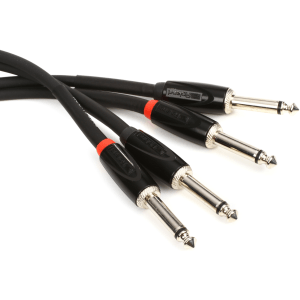 Roland RCC-10-2814 Black Series Interconnect Cable - Dual 1/4-inch TS to Dual 1/4-inch TS - 10 foot
