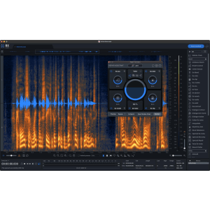 iZotope RX 10 Advanced Audio Repair Software