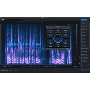 iZotope RX 10 Standard Audio Repair Software - Academic Version