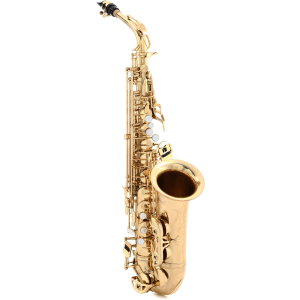 Selmer SAS411 Intermediate Alto Saxophone - Lacquer