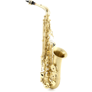 Selmer SAS711 Professional Alto Saxophone - Matte