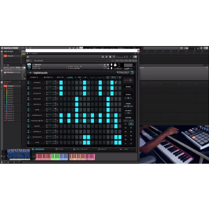 Big Fish Sequence: Hip-hop Beat Creator Software Instrument
