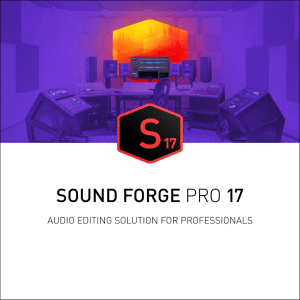 MAGIX Sound Forge Pro 17 for Windows