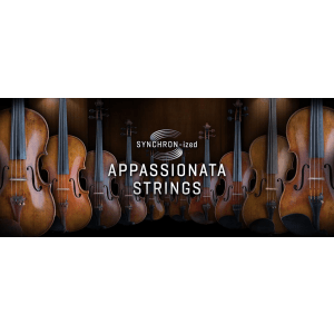Vienna Symphonic Library Synchron-ized Appassionata Strings - Standard