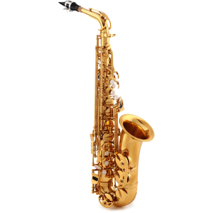 Victory Musical Instruments Triumph Series Student Alto Saxophone - Gold Lacquer