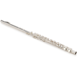 Victory Musical Instruments Triumph Series Student Flute - C Footjoint