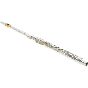 Yamaha YFL-462H Intermediate Flute with Gold Lip-plate