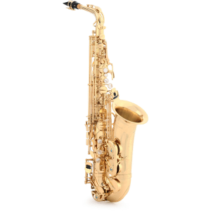 Yanagisawa A-WO1 Professional Alto Saxophone - Lacquer