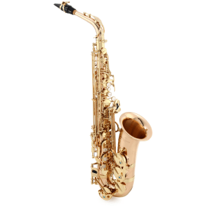 Yanagisawa AWO2 Professional Alto Saxophone - Bronze