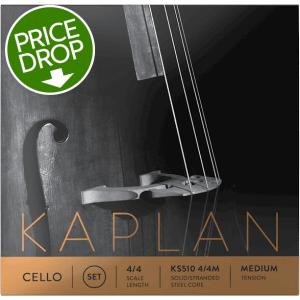 D'Addario KS512 Kaplan Cello D String - 4/4 Scale (10-pack)