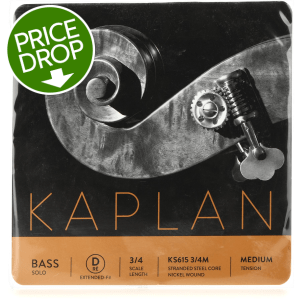 D'Addario KS615 Kaplan Solo Double Bass D Extension String - 3/4 Size