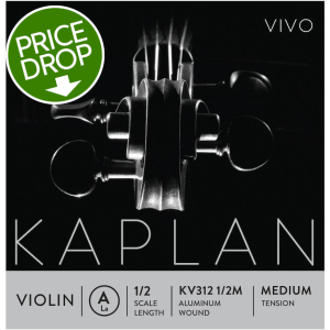 D'Addario KV312 Kaplan Vivo Violin A String - 1/2 Size