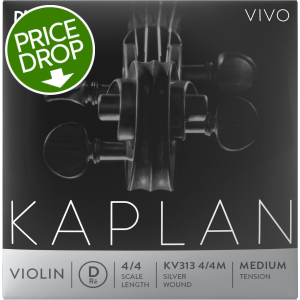 D'Addario KV313 Kaplan Vivo Violin D String - 4/4 Size