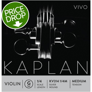 D'Addario KV314 Kaplan Vivo Violin G String - 1/4 Size