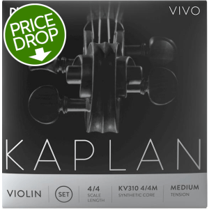 D'Addario KV314 Kaplan Vivo Violin G String - 4/4 Scale (10-pack)