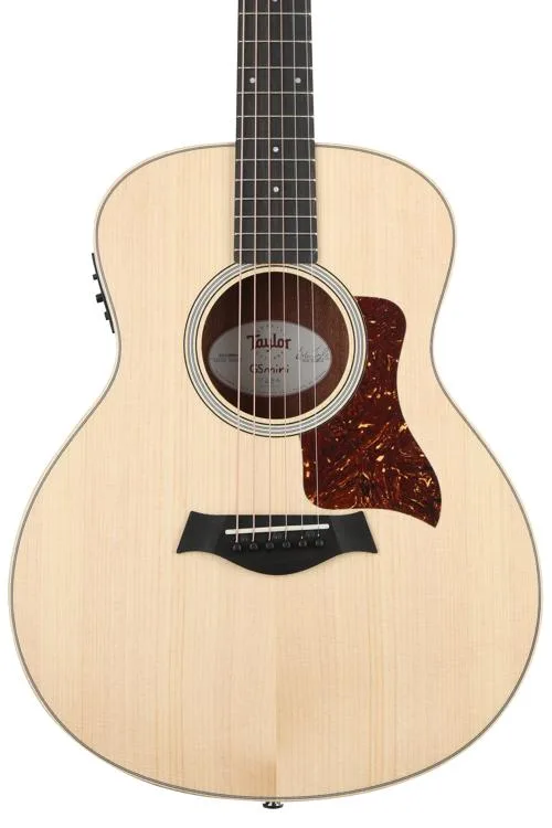 Taylor GS Mini-e