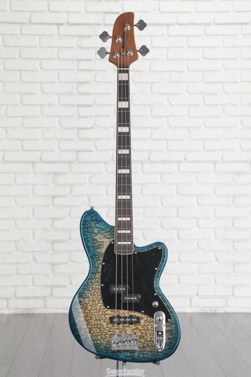 Ibanez store talman 310