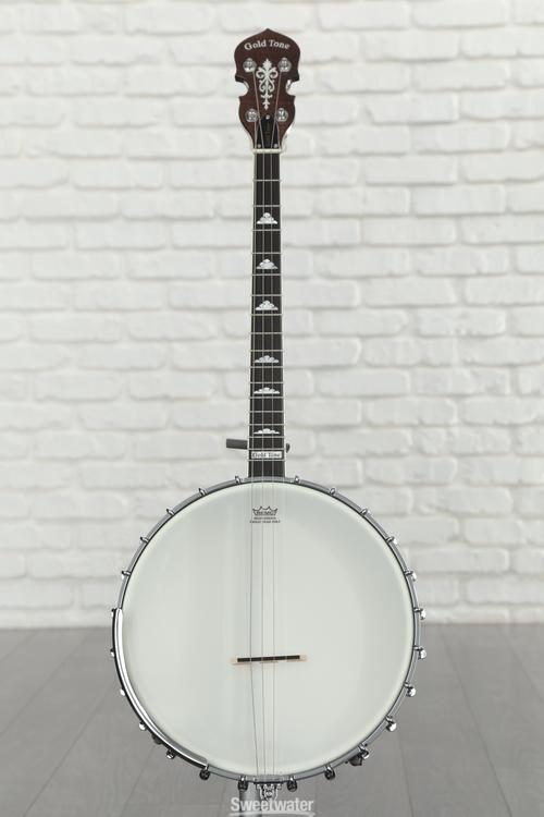 Gold Tone IT-250 Irish Tenor Banjo (vintage brown)