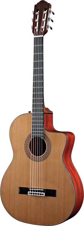 ギター GAD Guild GAD-25 Acoustic Design Series Dreadnought Guitar with Case
