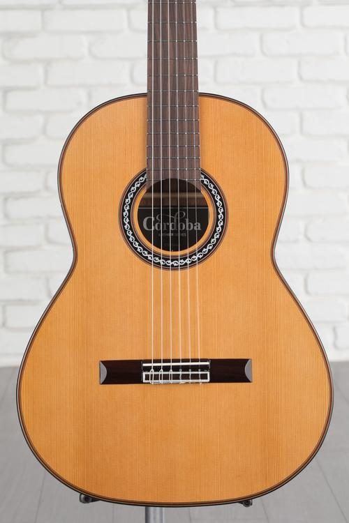 Nylon string for 2024 guitar price