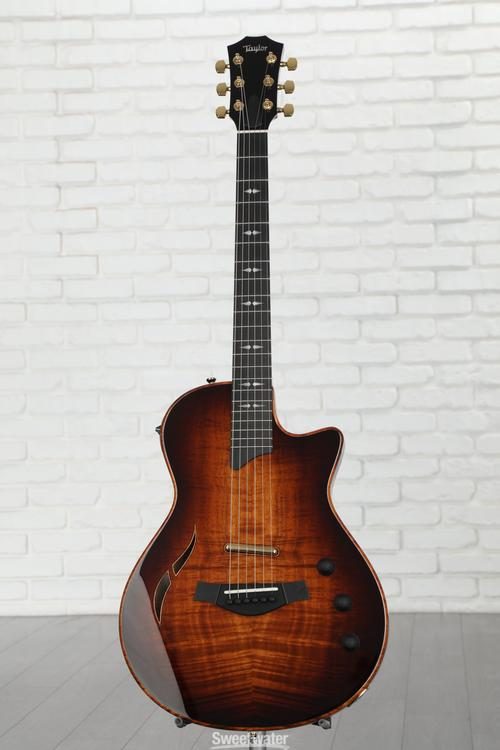 完成品 taylor t5-c2【kazu様】 エレキギター - unixae.com