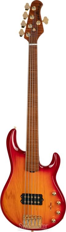 Fretless on sale stingray bass