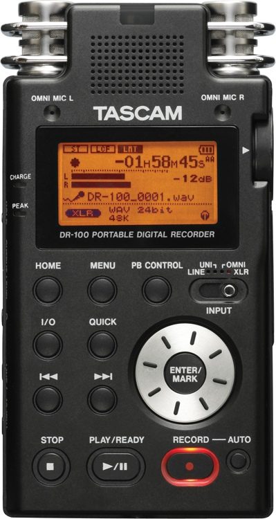 TASCAM DR-100 | Sweetwater