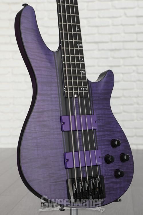 Purple schecter outlet bass