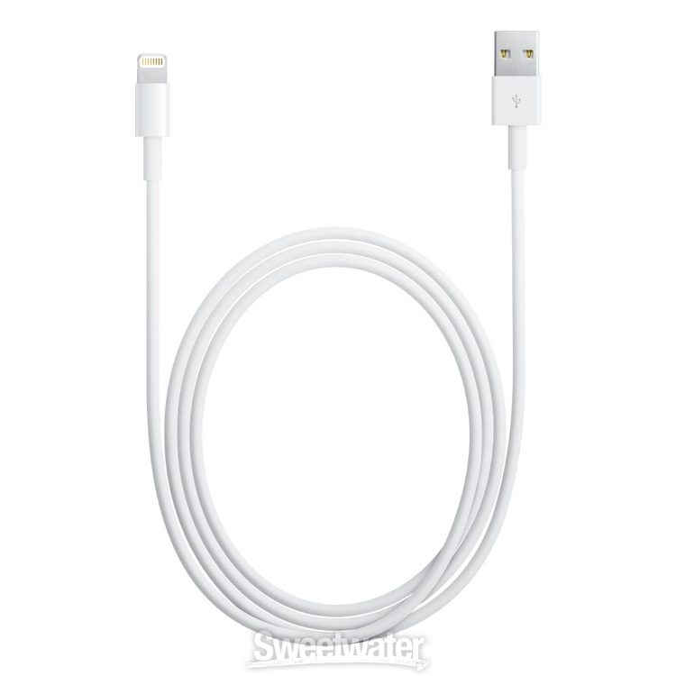 Apple iPad mini - Wi-Fi + 4G, Verizon, 16GB White | Sweetwater