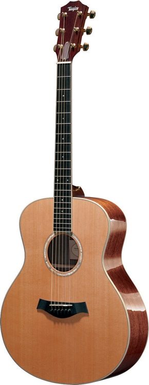 Taylor GS5 | Sweetwater