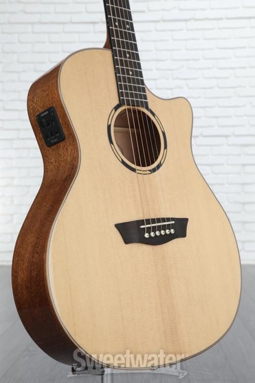 Washburn wlo10sce online