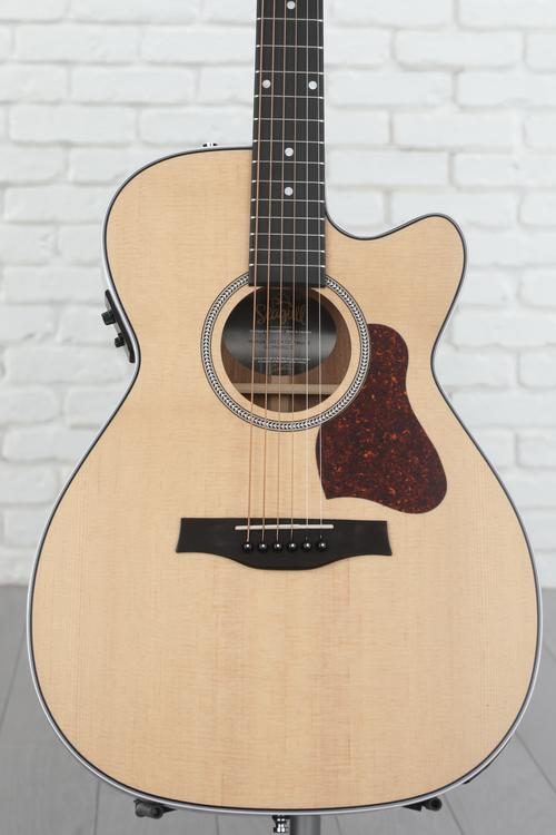 新価格版 エレアコギター Seagull Guitars SWS CHCWQIT | www.pro13