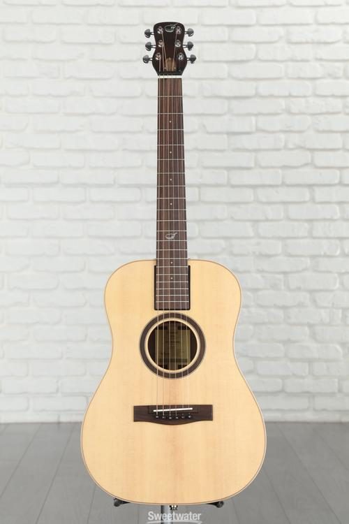 solid body acoustic guitar - Sweetwater