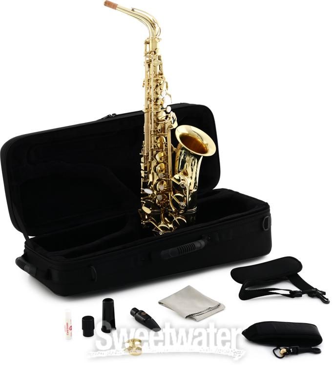 Victory Musical Instruments Triumph Series Student Alto Saxophone - Gold  Lacquer