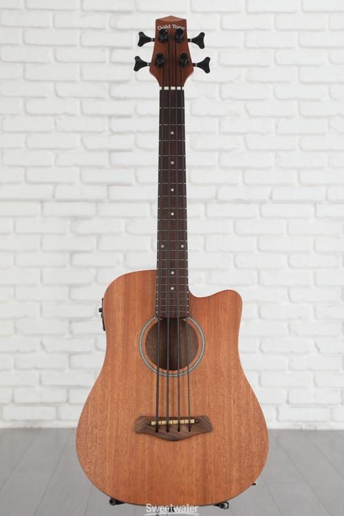 Gold Tone M-Bass マイクロベース