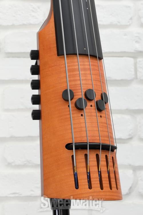 electric string bass