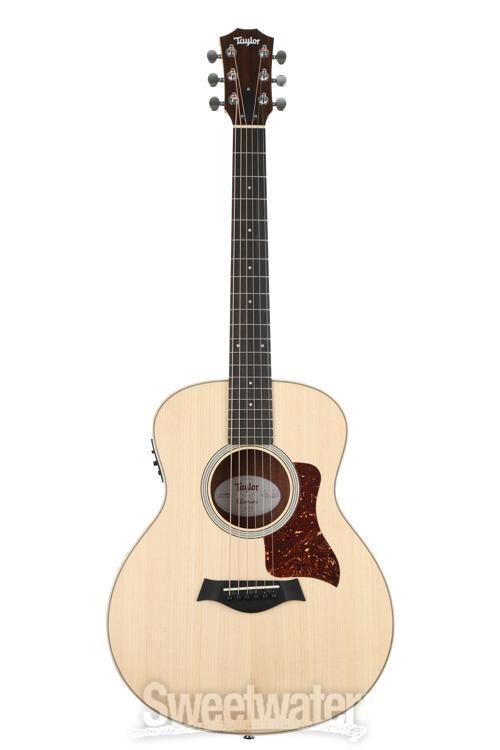 taylor gs mini es2