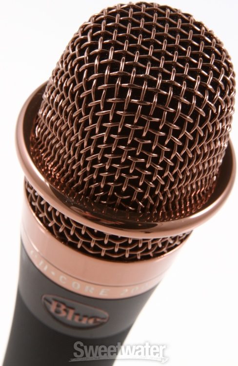Blue Microphones enCORE 200 | Sweetwater