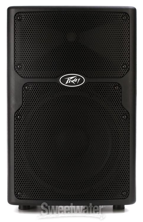 peavey pvx 10