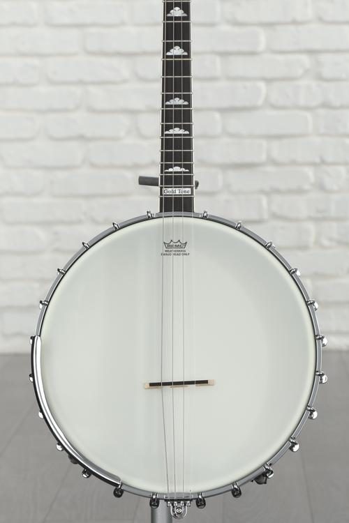 Best Banjos for Beginners at Sweetwater