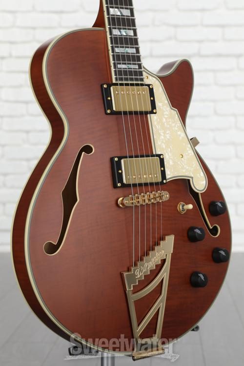 D'Angelico Deluxe SS Limited Edition Semi-hollow Electric Guitar 