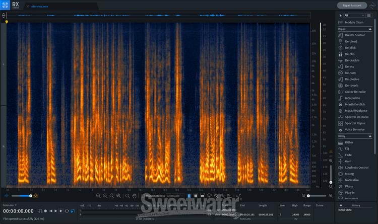 izotope music and speech cleaner purchase