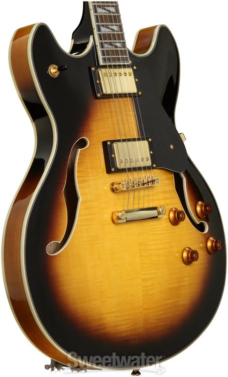 washburn semi hollow