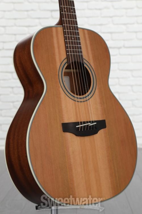 takamine gn20