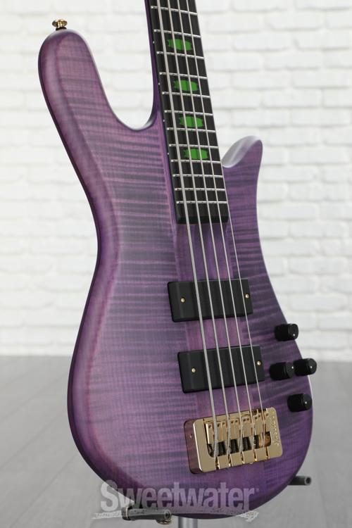 spector bass sweetwater